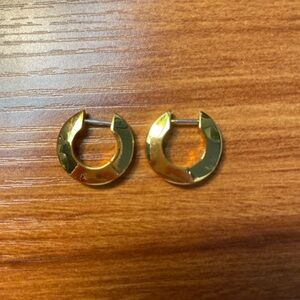 Jenny Bird gold hoop buggies